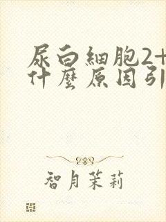 尿白细胞2+是什么原因引起的