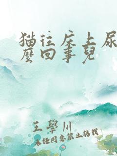 猫往床上尿是怎么回事儿