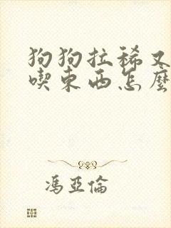 狗狗拉稀又吐不吃东西怎么办