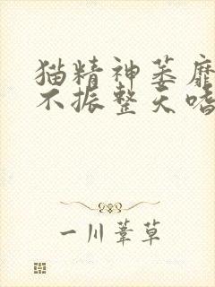 猫精神萎靡食欲不振整天嗜睡