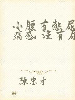 小腹有憋尿的疼痛感 没有尿