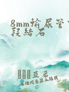 8mm输尿管下段结石