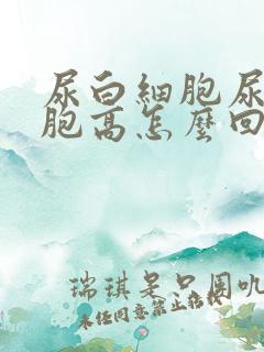 尿白细胞尿红细胞高怎么回事