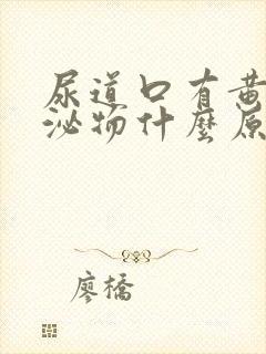 尿道口有黄色分泌物什么原因