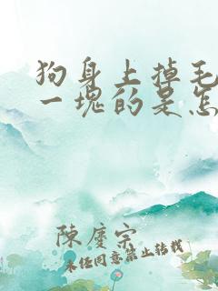 狗身上掉毛一块一块的是怎么回事