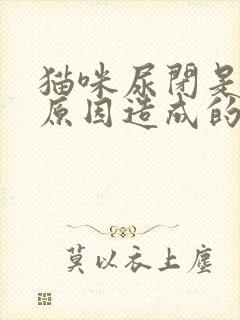 猫咪尿闭是什么原因造成的