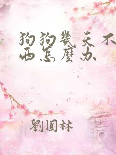 狗狗几天不吃东西怎么办