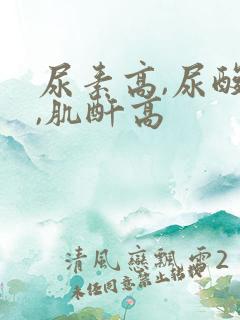 尿素高,尿酸高,肌酐高