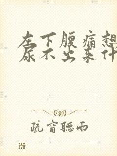 左下腹痛想尿又尿不出来什么原因