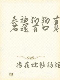 泰迪狗狗有牙结石还有口臭怎么办