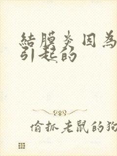 结膜炎因为什么引起的