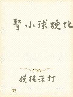 肾小球硬化治疗