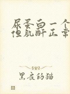 尿蛋白一个加号但肌酐正常