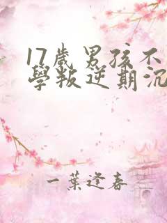 17岁男孩不上学叛逆期沉迷手机