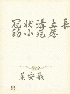 冠状沟上长肉色的小疙瘩