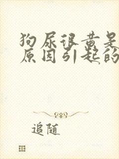 狗尿很黄是什么原因引起的