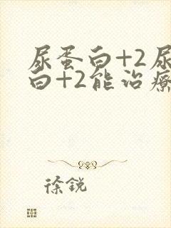 尿蛋白+2尿蛋白+2能治疗吗