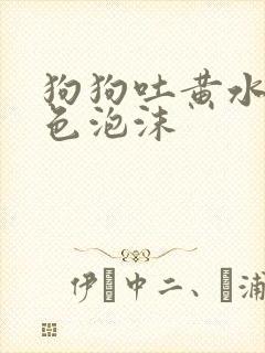 狗狗吐黄水和白色泡沫