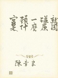 宫颈一碰就流血是什么原因