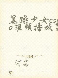 暴躁少女csgo视频播放器推荐