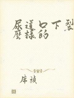 尿道口下裂是什么样的