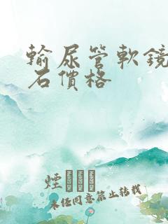 输尿管软镜取结石价格