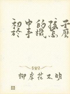 初中的孩子沉迷于手机怎么办