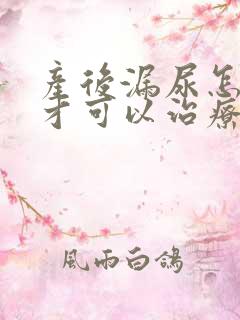 产后漏尿怎么治才可以治疗