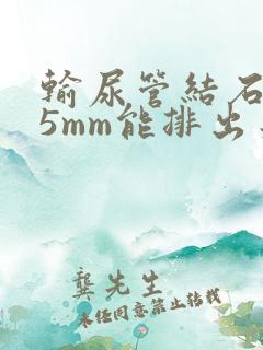 输尿管结石9*5mm能排出来吗