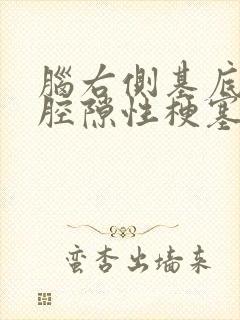 脑右侧基底节区腔隙性梗塞