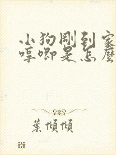 小狗刚到家一直哼唧是怎么回事