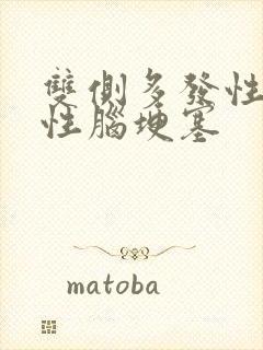 双侧多发性腔隙性脑埂塞