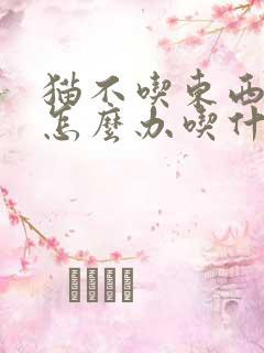 猫不吃东西呕吐怎么办吃什么药