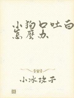 小狗口吐白沫该怎么办