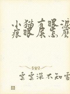 小猫有眼泪有泪痕眼屎怎么办