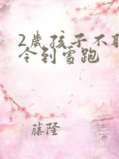 2岁孩子不听指令到处跑