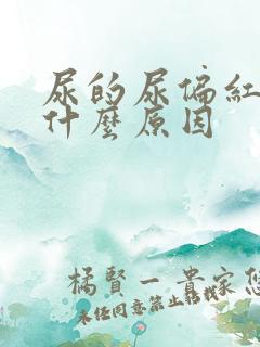 尿的尿偏红色是什么原因