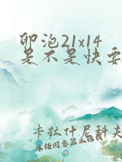 卵泡21x14是不是快要排卵了