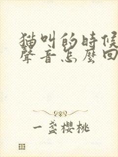 猫叫的时候没有声音怎么回事