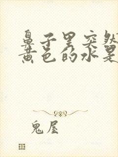 鼻子里突然流出黄色的水是怎么回事