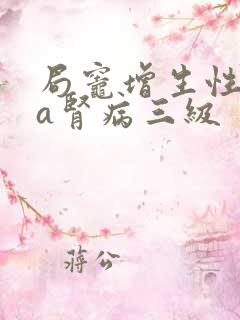 局灶增生性iga肾病三级