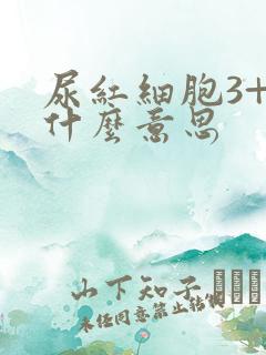 尿红细胞3+是什么意思