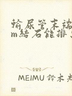 输尿管末端2mm结石能排出吗