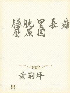 膀胱里长瘤是什么原因