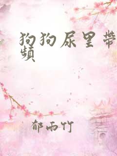 狗狗尿里带血尿频