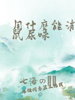 用什么能消除老鼠尿味