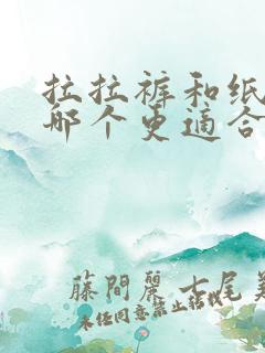 拉拉裤和纸尿裤哪个更适合夏天