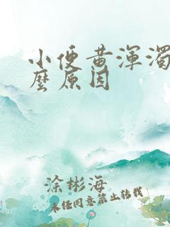 小便黄浑浊是什么原因