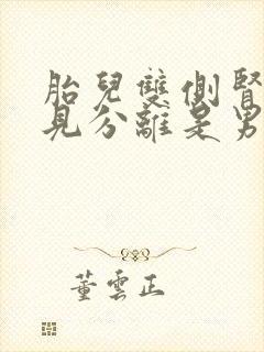 胎儿双侧肾盂未见分离是男是女