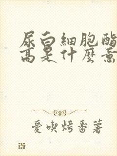 尿白细胞酯酶升高是什么意思